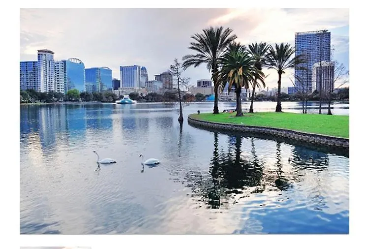 College Park Oasis: Quiet Retreat Near Orlando Attractions Hotel